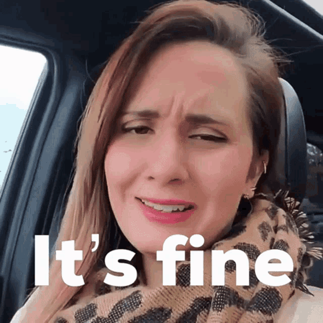 a woman sitting in a car with the words it 's fine written on her face
