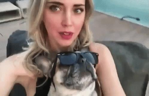 Chiara Ferragni Selfie Carlino Occhiali Da Sole Cane Cagnolino GIF - Italian Fashion Blogger Pug Pugs GIFs
