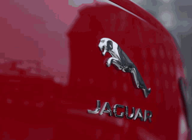 a close up of a buick logo on a black car
