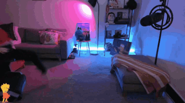 Carla GIF