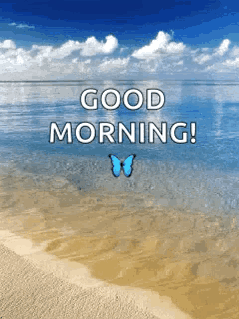 a butterfly is flying over a beach with the words `` good morning '' written on it .