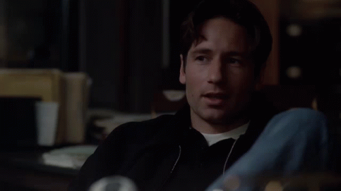 At A High Price Yeah Fox Mulder GIF - At A High Price Yeah Fox Mulder David Duchovny GIFs