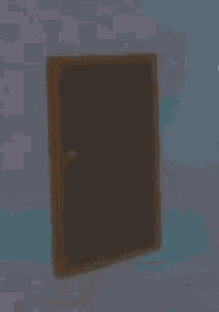 a picture of a door in a video game with the words no bugs on it .