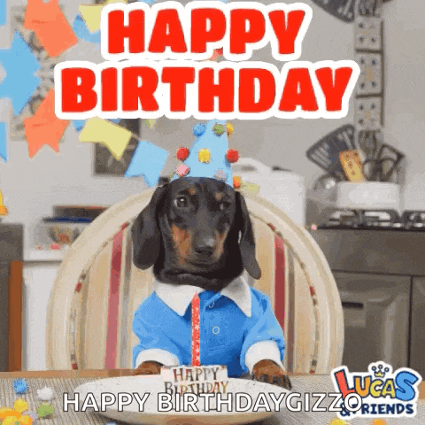 a dachshund wearing a birthday hat is sitting at a table with a plate of food and a candle .