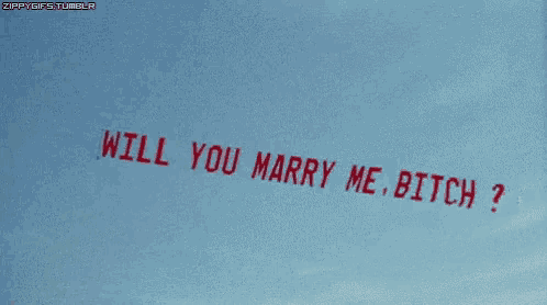 a sign that says " will you marry me bitch " is flying in the sky