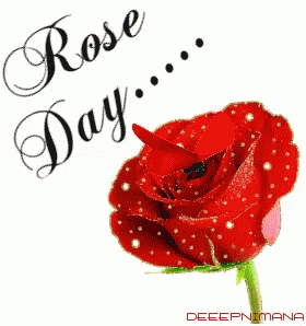 Rose Day For You GIF - Rose Day For You Flowers For You GIFs