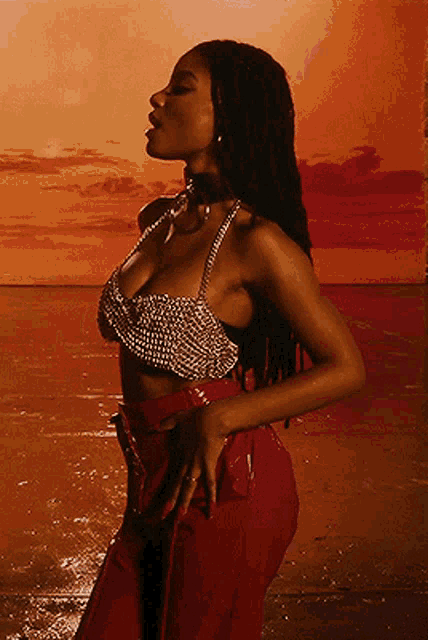 a woman in a crop top and red pants stands in front of a red sky