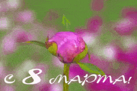 a close up of a purple flower with the words `` c 8 mapma '' in the background