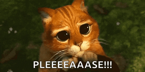 a sad cat with big eyes is looking at the camera with the words pleeeaaase !! written below it .