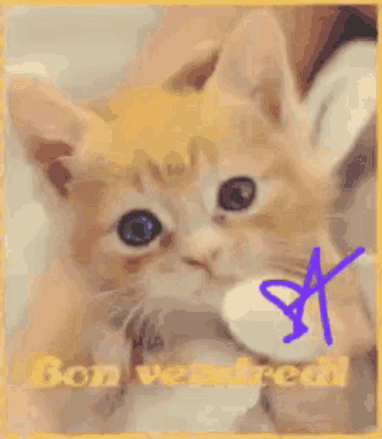 Bon Veanbred Hearts GIF - Bon Veanbred Hearts Kitten GIFs