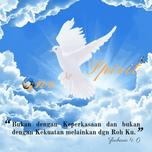a white dove is flying in the sky with the word spirit written on the bottom