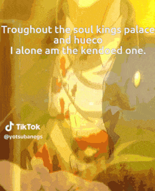 a cartoon of a man with a quote that says troughout the soul kings paladin and hueco