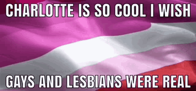 a pink and white flag with the words charlotte is so cool i wish gays and lesbians were real on it