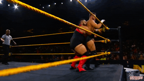a wrestler is laying on the ground during a match