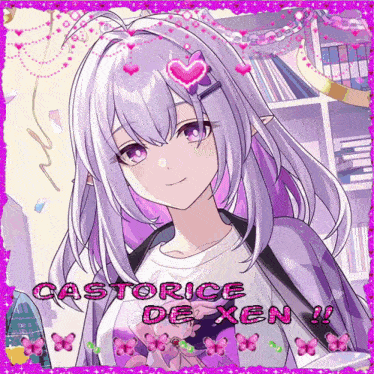 a picture of a girl with the name castorice de xen written on it