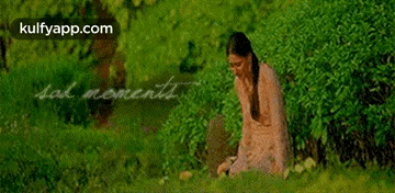Lal Nonentdments.Gif GIF - Lal Nonentdments Vegetation Plant GIFs