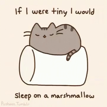 Sleeping On A Marshmallow Cute Cat GIF