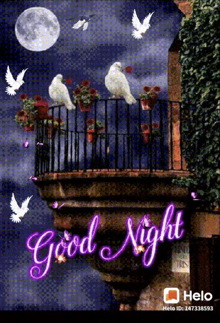 a picture of birds on a balcony with the words good night on it