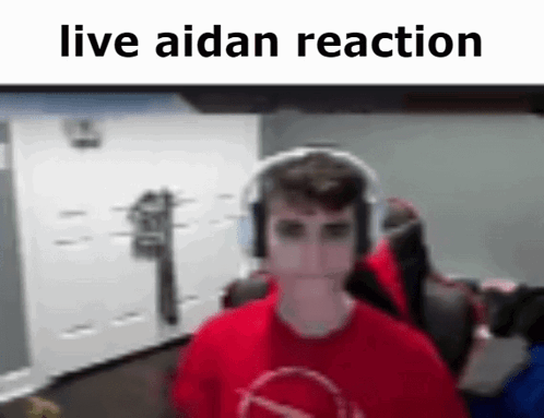 Aidan Live Aidan GIF - Aidan Live Aidan Live Aidan Reaction GIFs