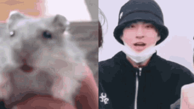 a close up of a hamster next to a close up of a person wearing a mask
