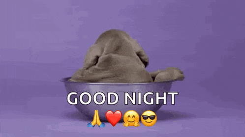 a puppy is sleeping in a bowl with the words good night written on it .