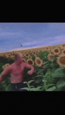 a man is running through a field of sunflowers