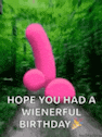a pink penis with the words `` hope you had a wienerful birthday '' written below it .