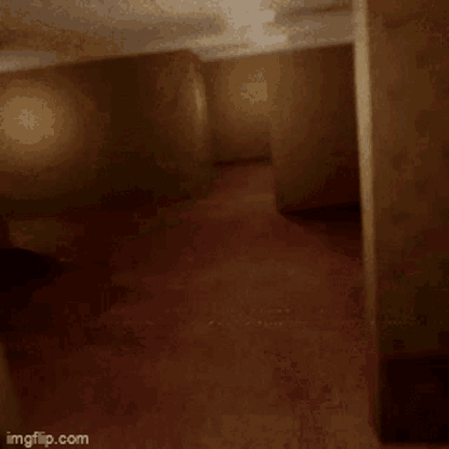 Backrooms Mysteriouspoggers12 GIF - Backrooms Mysteriouspoggers12 Mysteriouspoggers12yt GIFs
