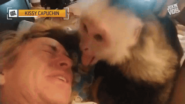 Kiss Aww GIF - Kiss Aww Capuchin Monkey GIFs