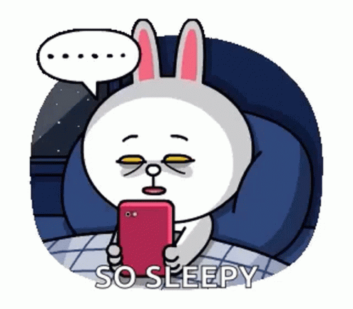 Cony Brown And Cony GIF