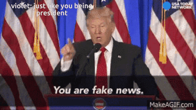 donald trump is giving a speech in front of an american flag and says you are fake news