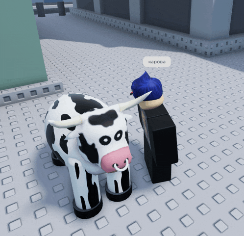 a person standing next to a cow that says kapora on it