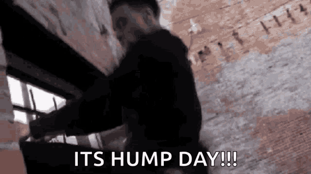 a man is standing in front of a brick wall and saying `` it 's hump day !!! ''