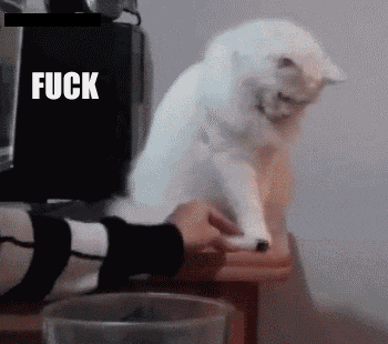 a white cat is sitting on a table with the word fuck written above it