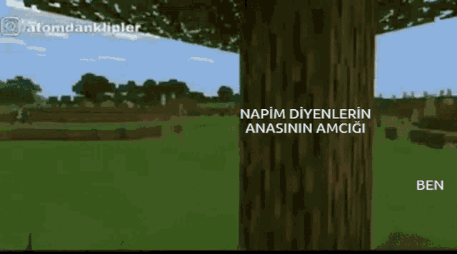 a video of a person standing next to a tree in a video game