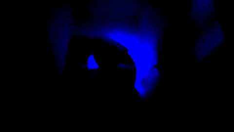 a silhouette of a person in a dark room with blue lights behind them