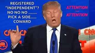 Donald Trump Wrong GIF - Donald Trump Wrong Vote GIFs