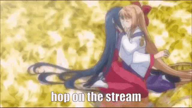 a couple of anime girls hugging each other with the words hop on the stream above them