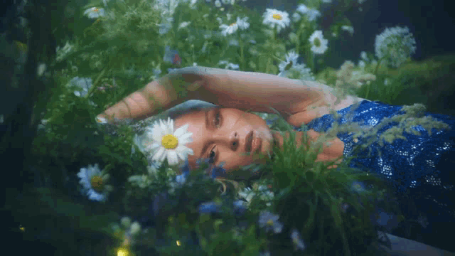 a woman in a blue dress laying in a field of daisies
