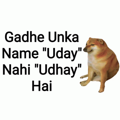 Udhaybrine Udhayuday GIF - Udhaybrine Udhayuday Udayudhay GIFs