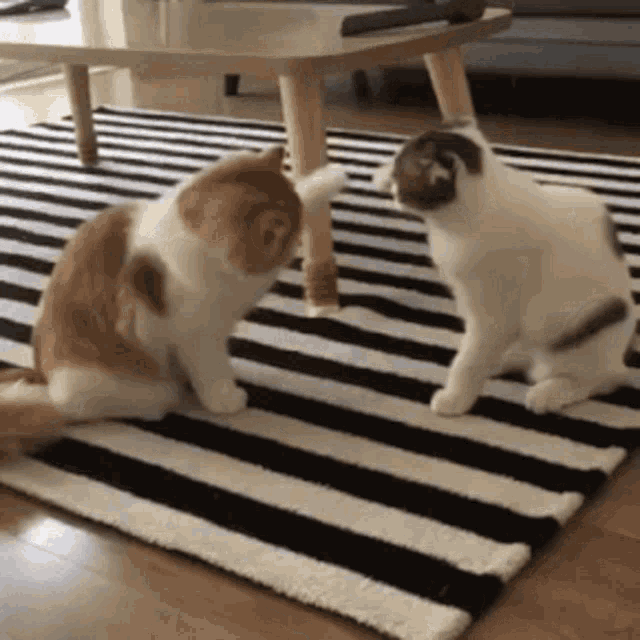 two cats are sitting on a striped rug