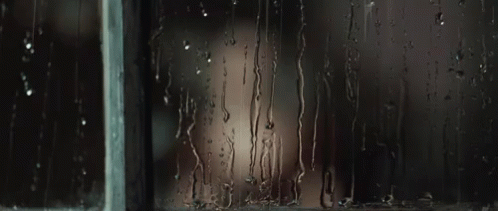 Chuva GIF - Raining Window Waterdrip GIFs