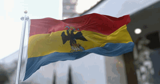 a flag with a black eagle on it is flying in the wind