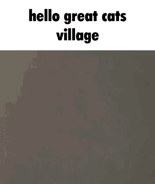 Neco Arc Great Cats Village GIF