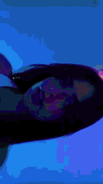 a woman with long black hair is laying down in a blue room