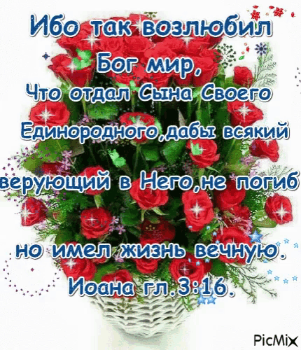 a picture of a bouquet of red roses with a bible verse