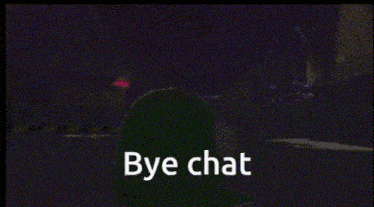 a green balloon is sitting next to a pink balloon and the words `` bye chat '' .