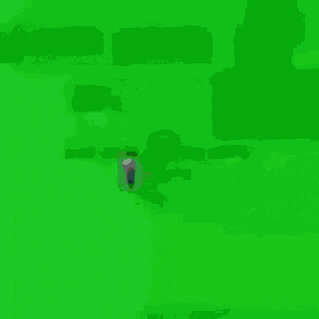 a green screen with a person walking on it .