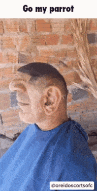 a man with a big nose and ear is sitting in front of a brick wall with the words go my parrot above him