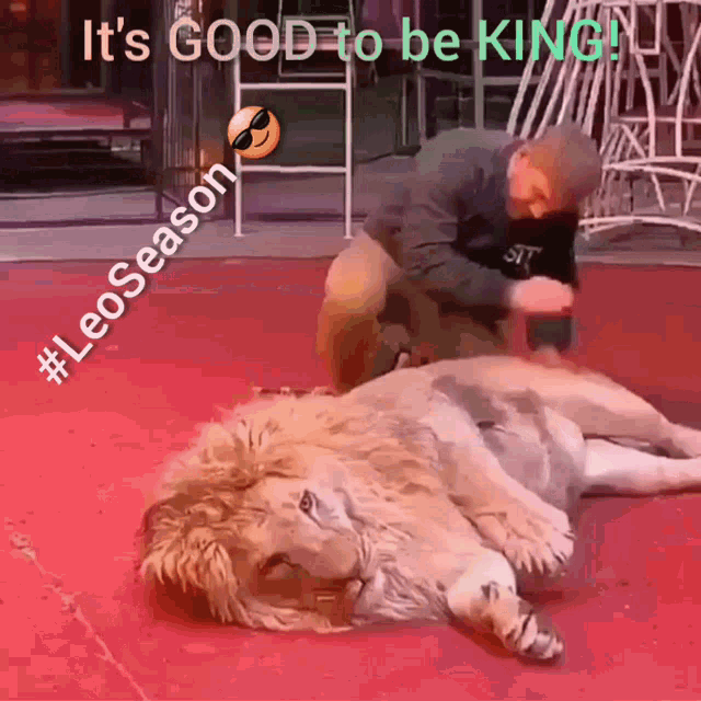 Lion King GIF - Lion King Good To Be King GIFs
